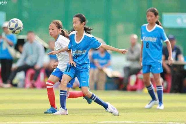 范布隆克霍斯特被贝西克塔斯解雇，上任仅半年